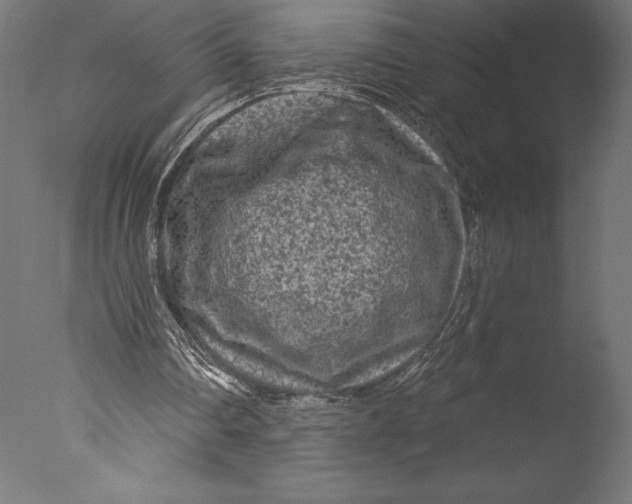 X0000076300290200610201554