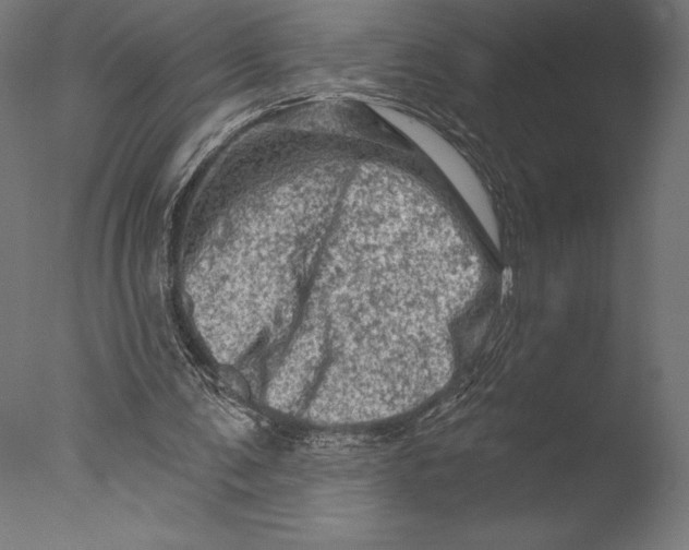 X0000076300291200610201554