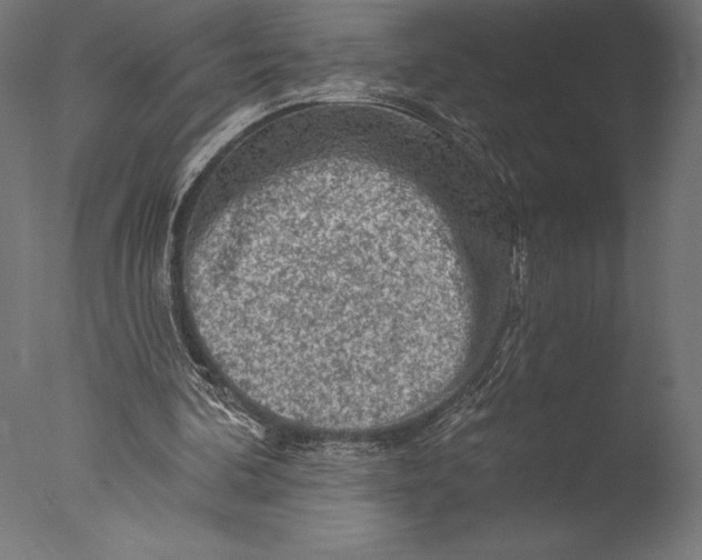 X0000076300292200610201554