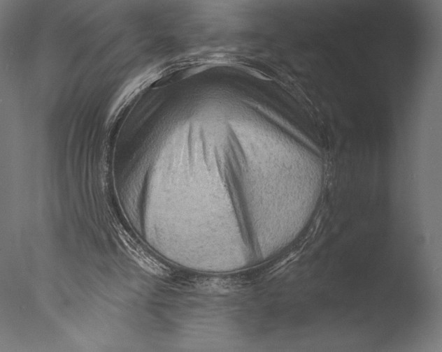 X0000076300293200610201554