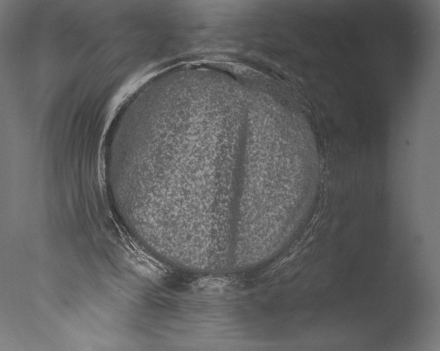 X0000076300294200610201554