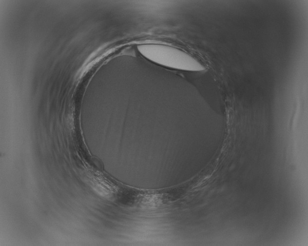 X0000076300295200610201554