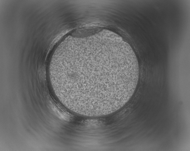 X0000076300298200610201553