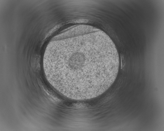 X0000076300300200610201553