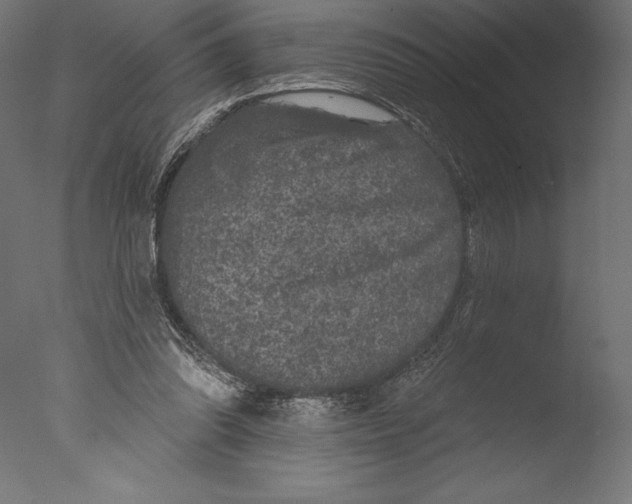 X0000076300302200610201553