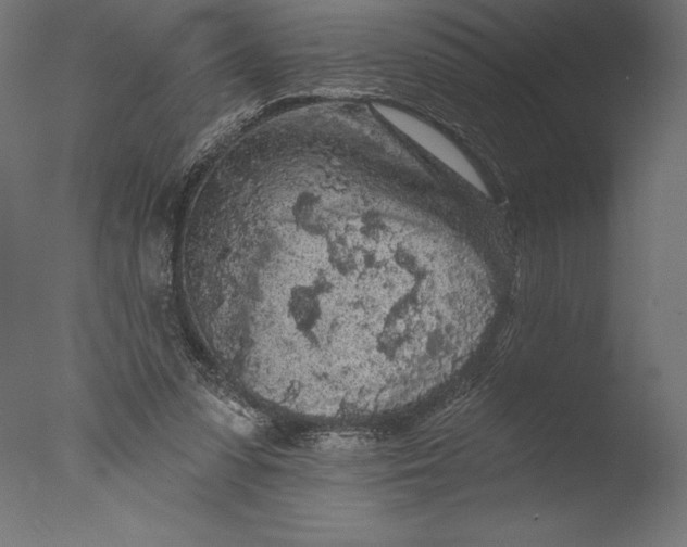 X0000076300303200610201553