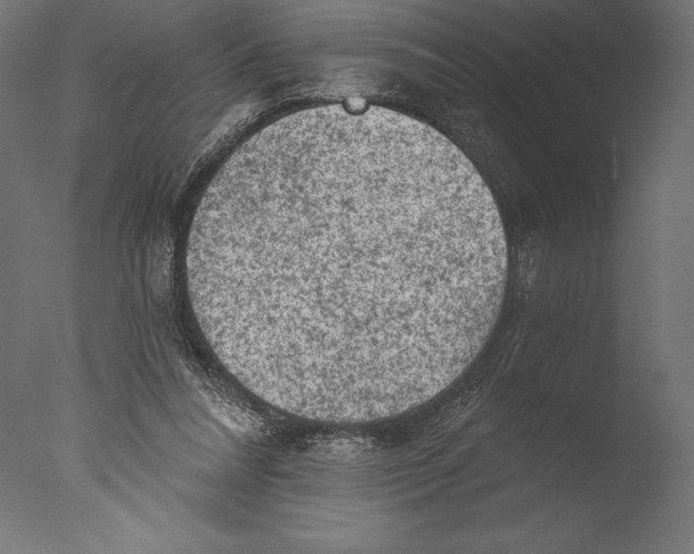 X0000076300304200610201553