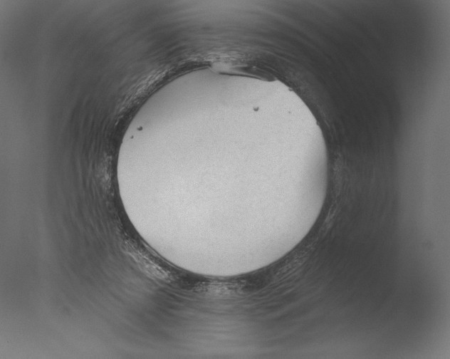 X0000076300305200610201553