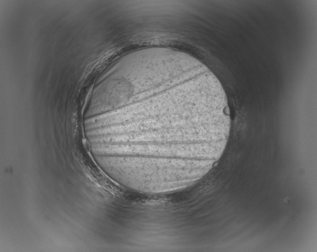 X0000076300306200610201553