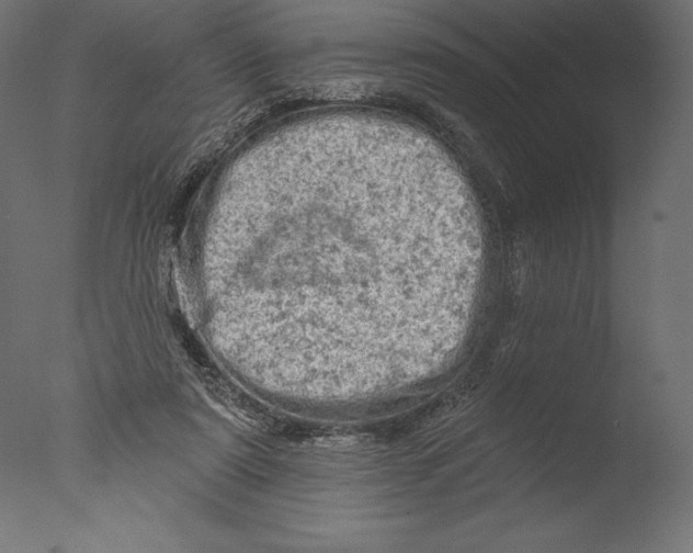 X0000076300307200610201553