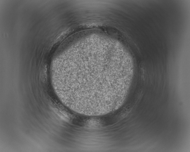 X0000076300308200610201553