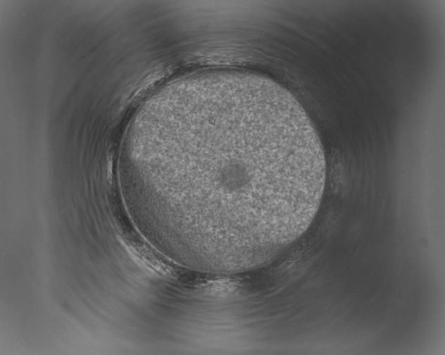 X0000076300310200610201553