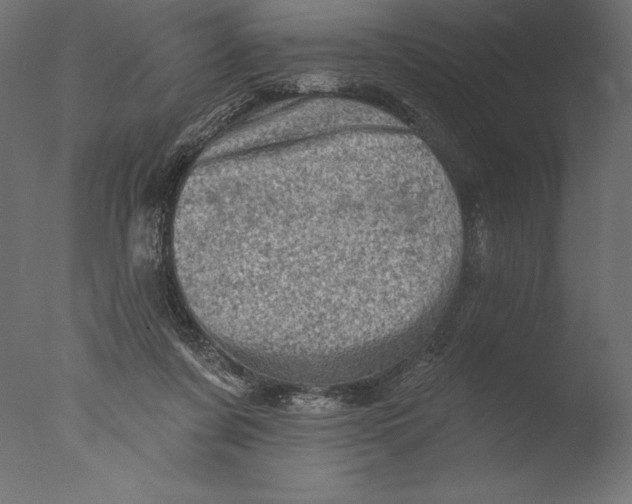 X0000076300311200610201553