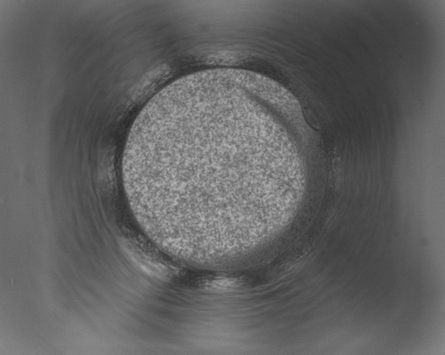 X0000076300312200610201553