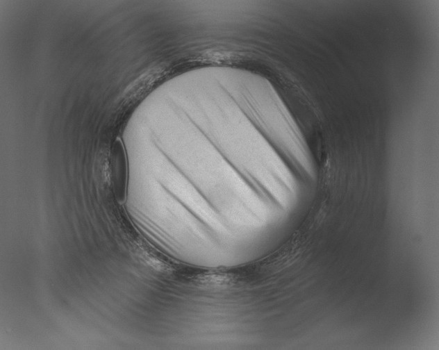 X0000076300313200610201553