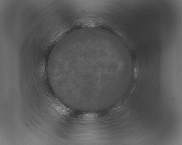 X0000076300314200610201553