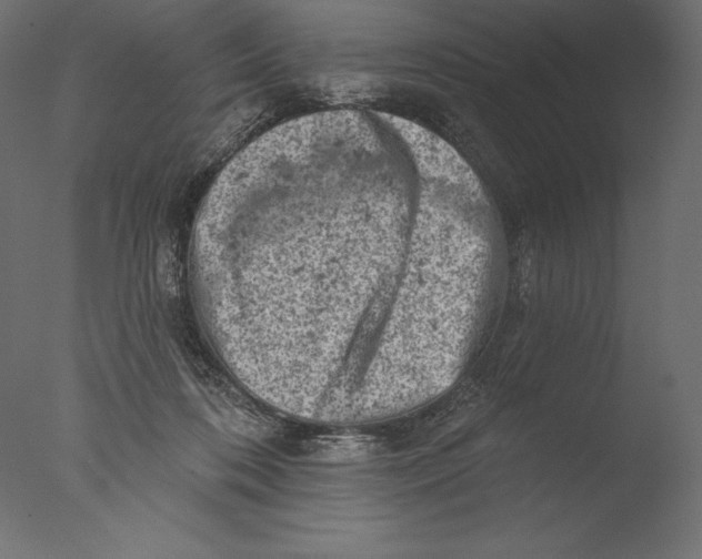 X0000076300316200610201553