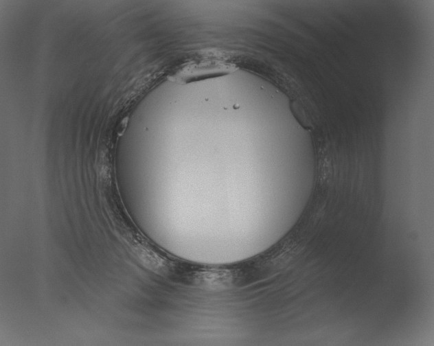 X0000076300317200610201553