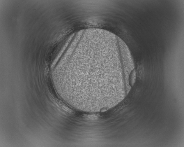 X0000076300318200610201553