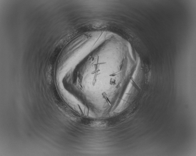 X0000076300319200610201553