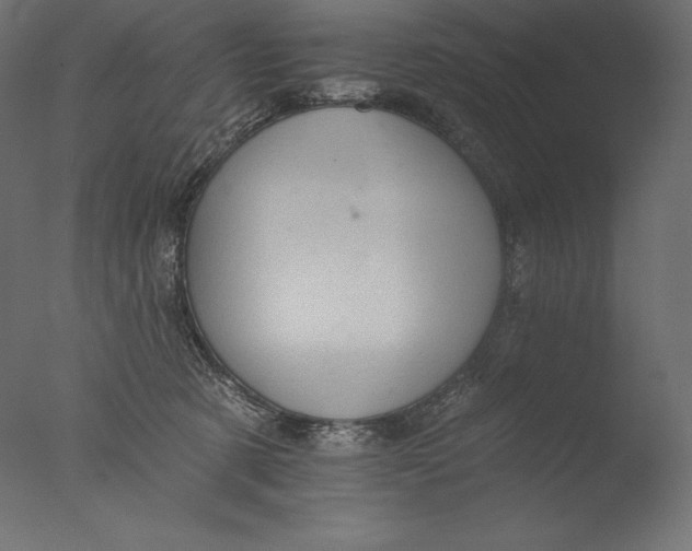 X0000076300321200610201553