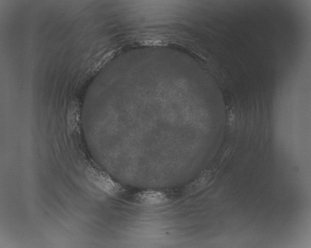 X0000076300322200610201553