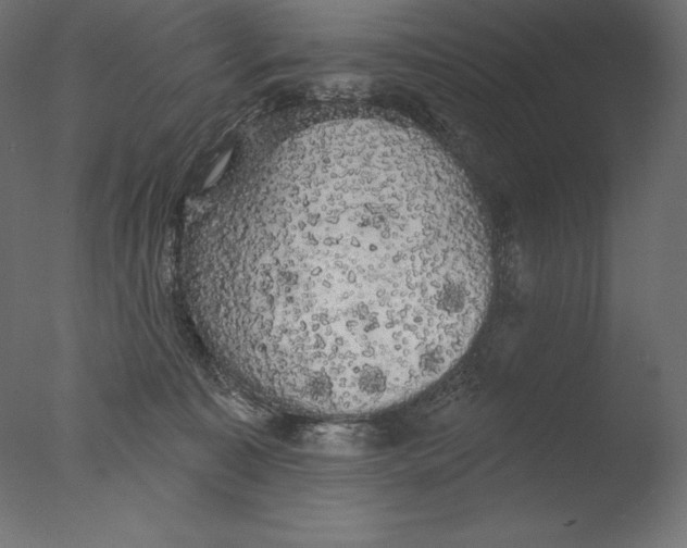 X0000076300323200610201553