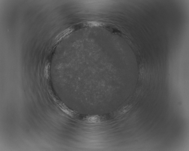 X0000076300325200610201553