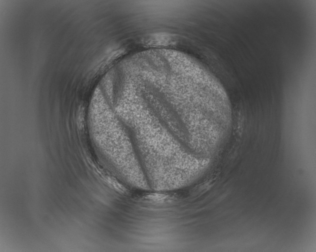 X0000076300326200610201553