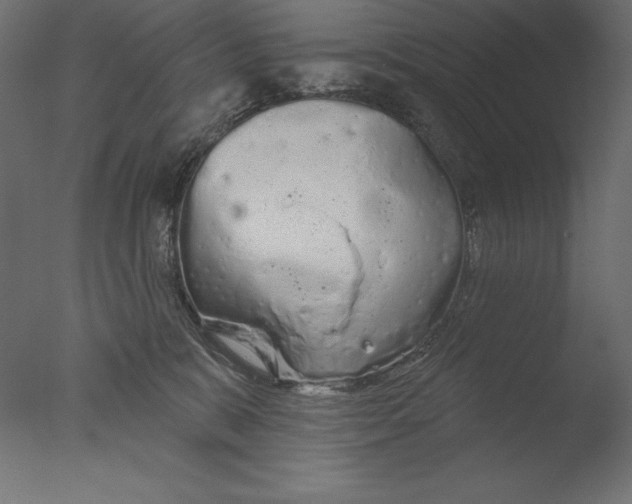 X0000076300327200610201553