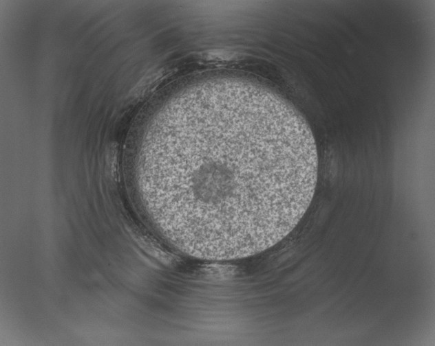 X0000076300328200610201553