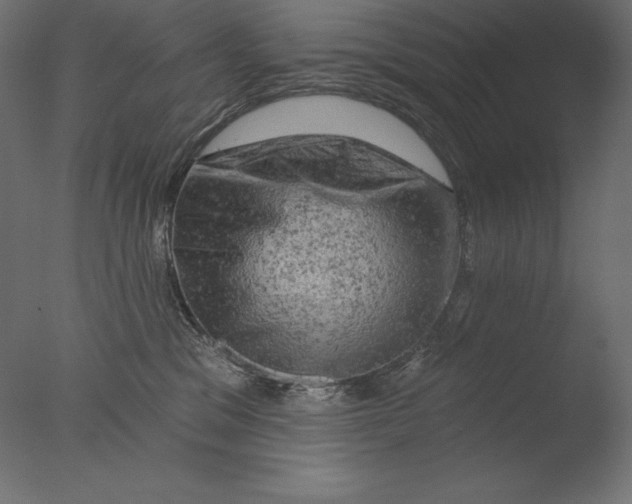 X0000076300329200610201553