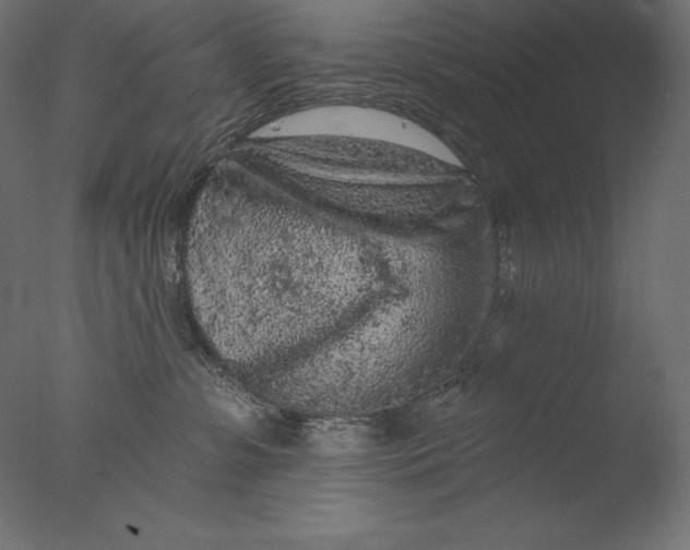 X0000076300331200610201553