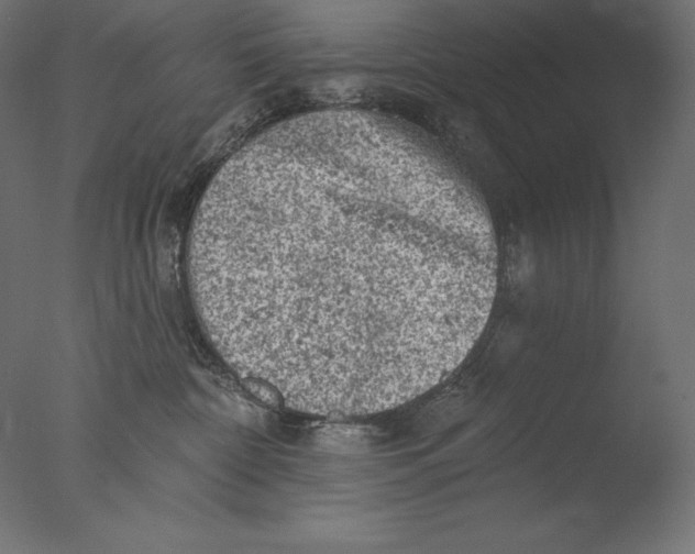 X0000076300332200610201553