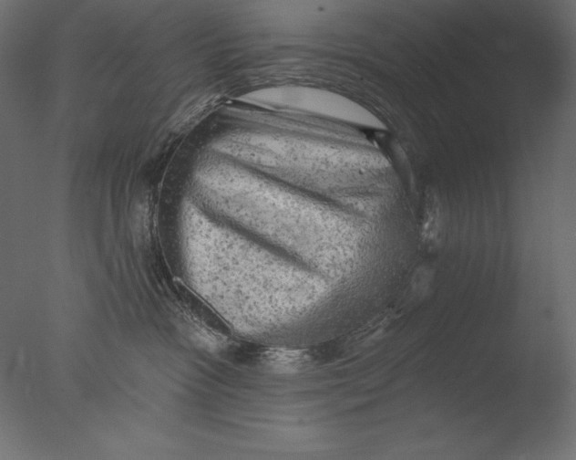 X0000076300333200610201553