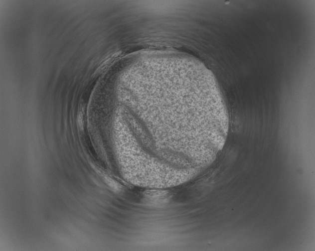 X0000076300334200610201553