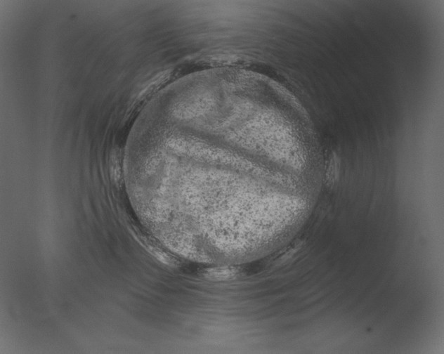 X0000076300335200610201553