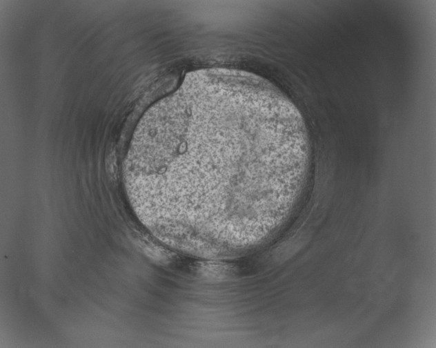 X0000076300336200610201553