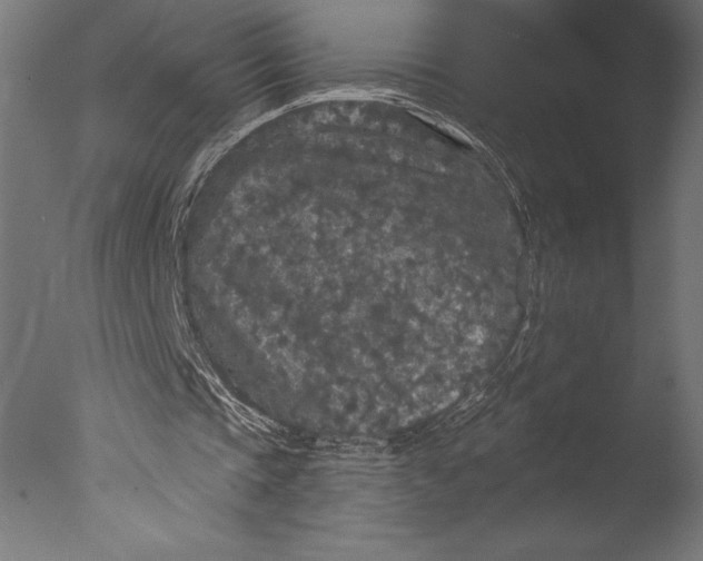 X0000076300337200610201552