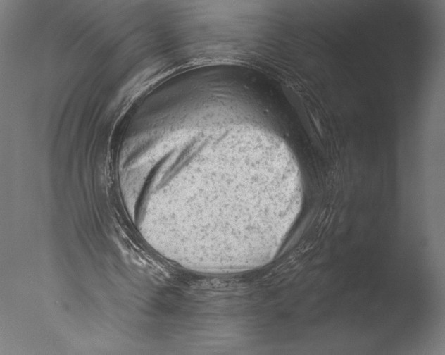 X0000076300338200610201552