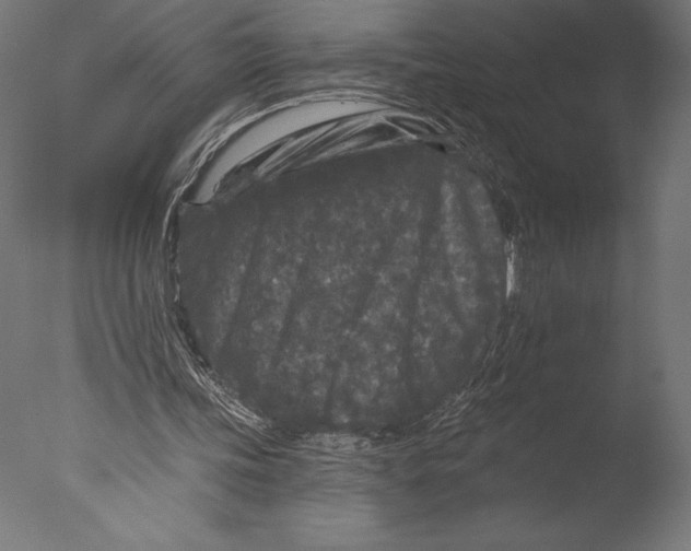 X0000076300339200610201552