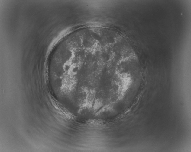 X0000076300343200610201552