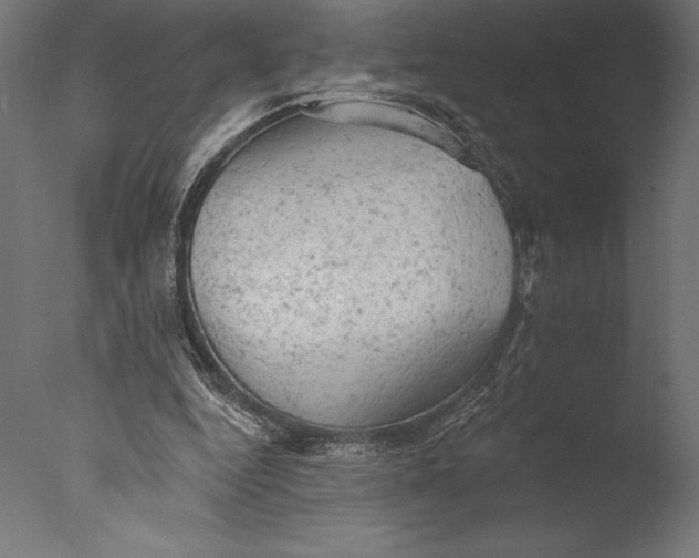 X0000076300344200610201552