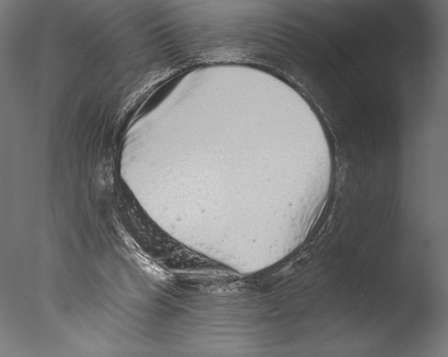 X0000076300345200610201552