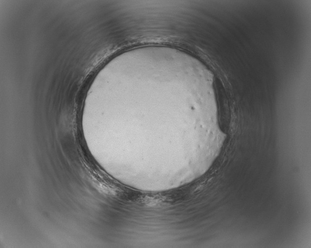 X0000076300346200610201552