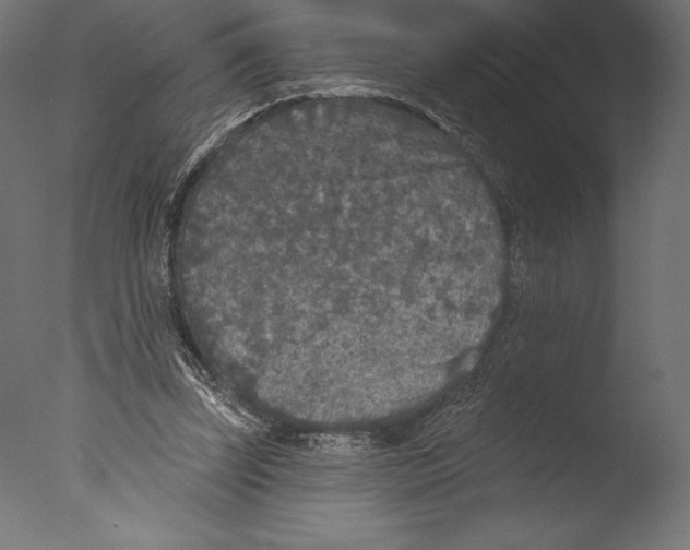 X0000076300347200610201552