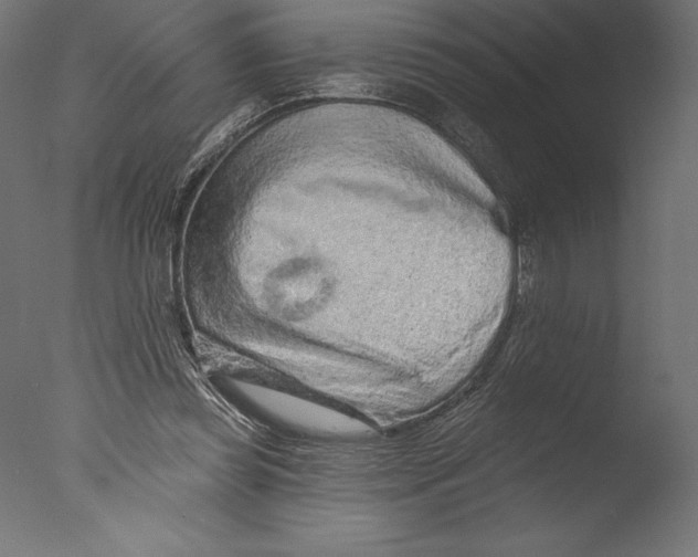 X0000076300349200610201552