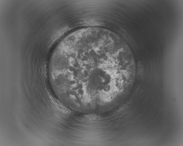 X0000076300351200610201552