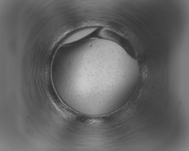 X0000076300352200610201552