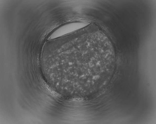 X0000076300353200610201552